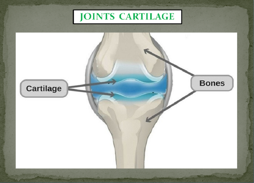 ARTHRITIS PACKAGE