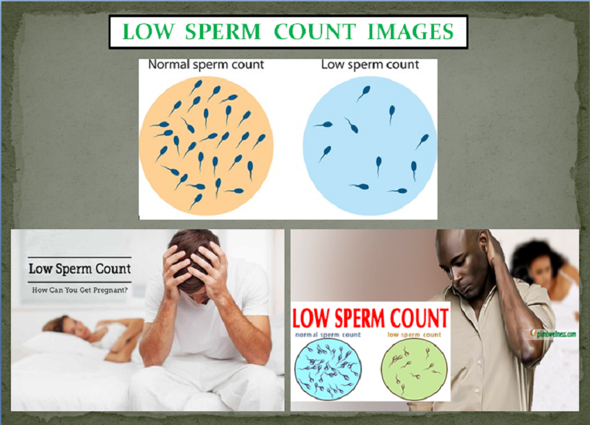 Low Sperm Pack